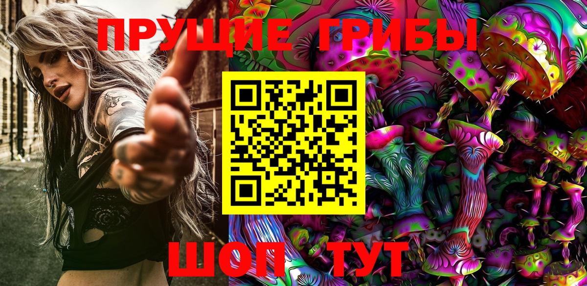 Псилоцибиновые грибы MAGIC MUSHROOMS  магазин продажи наркотиков  Кропоткин  Вход с VPN 