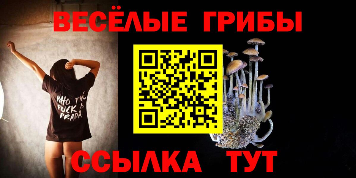 Галлюциногенные грибы мухоморы Кропоткин